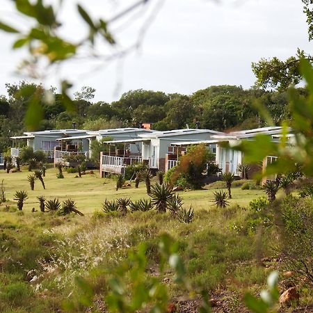 Stoneyvale Cottages Grahamstown Exterior foto