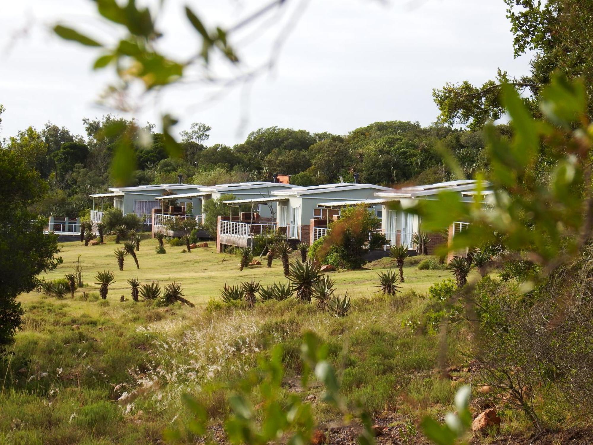 Stoneyvale Cottages Grahamstown Exterior foto